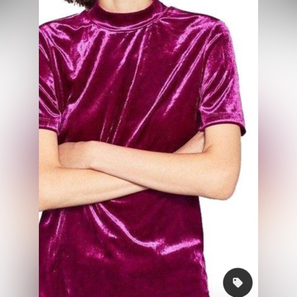 Zara Tops - ZARA Trafaluc Velvet Top. EUC